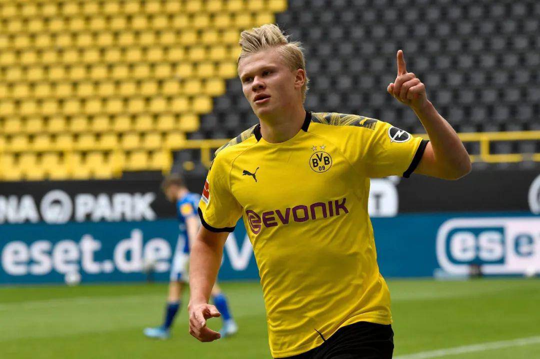 高牌占优 高牌占优