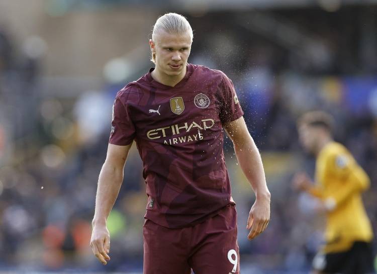 涯虽短但已 涯虽短但已